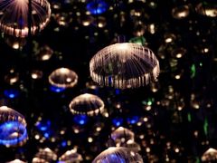 -杭州西湖星空魔幻城(星空艺术馆品牌旗舰店)