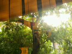 -星巴克(福州三坊七巷店)