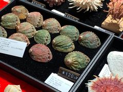 -摩登百货(岗顶店)