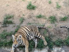 -龙口动植物园