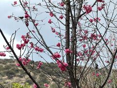 -黑龙潭公园