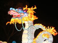 -欢乐海岸椰林沙滩-2025湾区超级灯会
