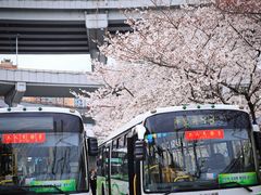 -南浦大桥长途旅游客运站
