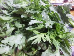 -金鼎雪山牦牛杂火锅(理县总店)