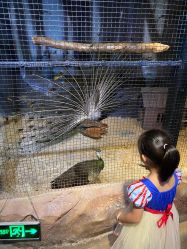 -酷嗒动物文化乐园(cutezoo西溪乐天城店)