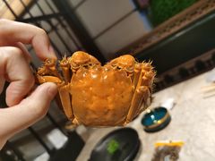 -沪小胖小龙虾(淮海中路旗舰店)