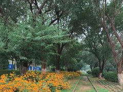 -永定河休闲森林公园