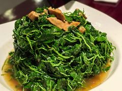 蚌肉金花菜-松鹤楼(山塘街店)