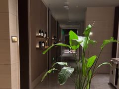 -汤泉良子·沐足·颂钵疗愈·SPA(珠江新城店)