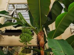 -兴芮温泉度假区