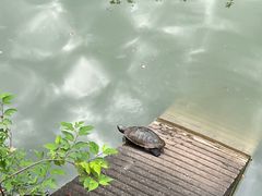 -大智禅寺-售票处