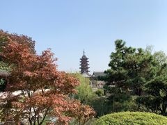 -苏州吴宫泛太平洋酒店