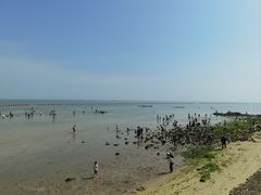 -北海金海湾红树林生态旅游区