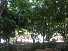 -虎英水上乐园