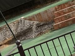 -梦幻奥陶纪景区