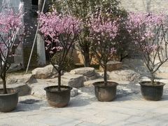 -回龙窝历史文化街区