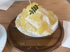 -猫里有甜