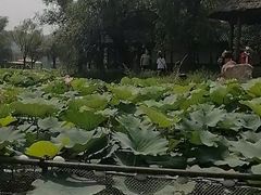 -承德避暑山庄景区