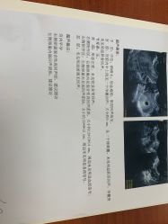 -上海艾儿贝佳妇产科医院
