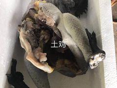 -菌根香