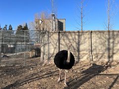 -意大利农场度假村