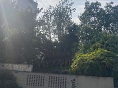 -艾坪山公园