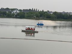 -上海长兴岛郊野公园