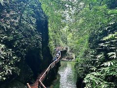 -青城山