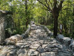 -阳台山自然风景区