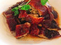 -鸽王世家(东华东路店)