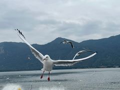 -滇池海埂公园