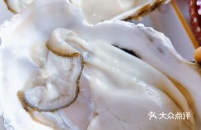 2 Oysters