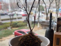 -竹里馆 ·茶食(奥体店)