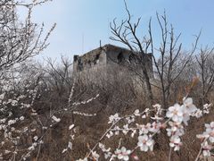 -龙泉峪长城