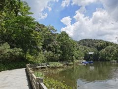 -广州市帽峰山景区
