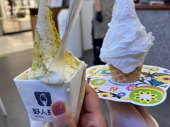 -野人先生Gelato(上海长宁龙之梦店)