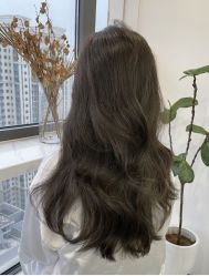 -环球蝶上美业连锁