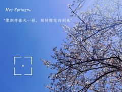 -南翔古镇