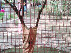 -长乐公园游乐场