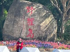 -野狸岛