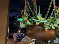 -云海肴·汽锅鸡·云南菜(天津国金汇店)