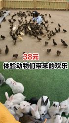 -萌宠亲子动物乐园(槐房万达店)