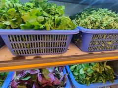 -老味道1992(武当山店)