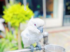 -卤儿道道(经纬店)