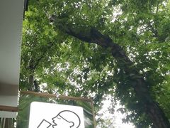 -喜茶(上海淮海中路渔阳里店)