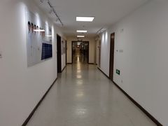 -上海市东方医院(总院)