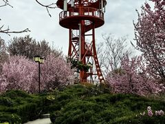 -郑州中国绿化博览园