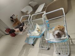 -怪兽屋·羊驼·猫咖·狗咖(俊华广场店)