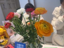 -Dr.林醫生产后修复·配方产康店(南京大厂店)