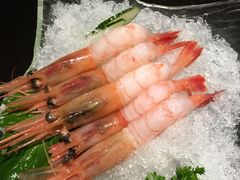 -春草居酒屋·晴子の店